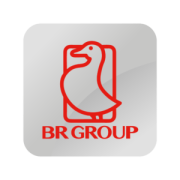 Br-group-logo